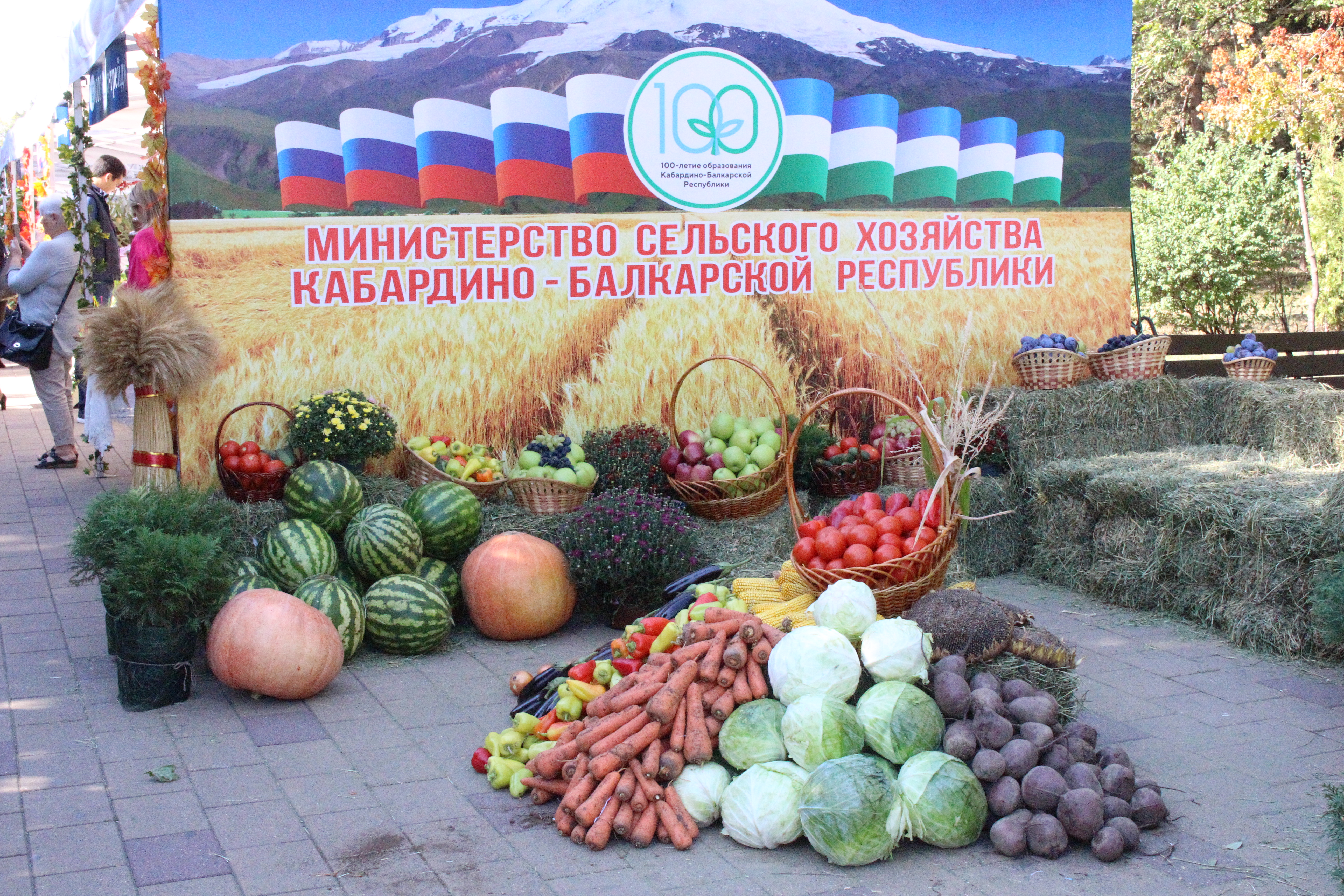 Учёные вуза представили свои достижения на праздничной сельскохозяйственной выставке