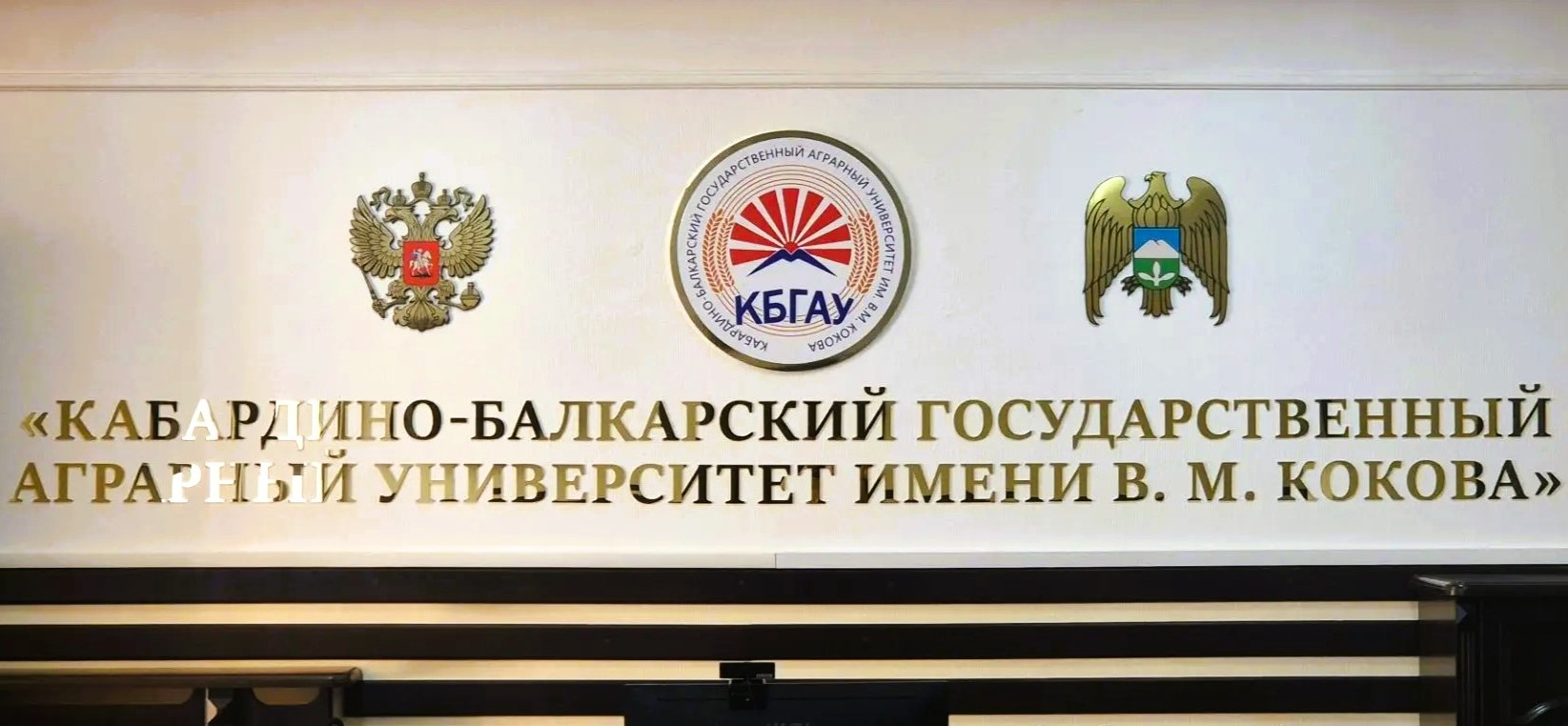 Кабардино-Балкарский государственный аграрный университет имени В.М. Кокова получил лицензию на осуществление образовательной деятельности по направлению подготовки 40.03.01 «Юриспруденция (профиль аграрно-правовой)» Кабардино-Балкарский государственный аграрный университет имени В.М. Кокова получил лицензию на осуществление образовательной деятельности по направлению подготовки 40.03.01 «Юриспруденция (профиль аграрно-правовой)»
