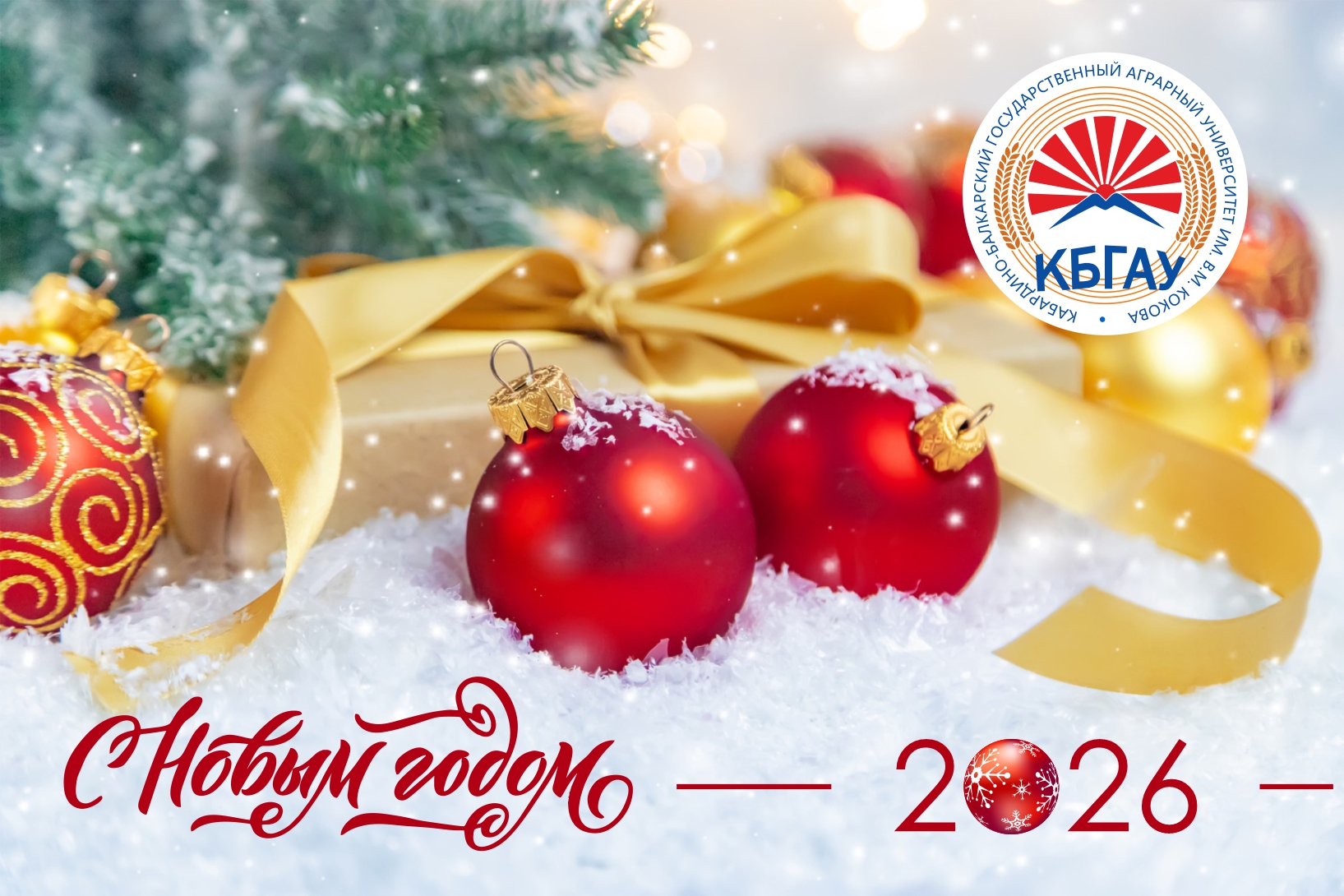 Поздравление с наступающим Новым годом ректора Заурби Шхагапсоева Поздравление с наступающим Новым годом ректора Заурби Шхагапсоева