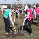 Волонтёры Кабардино-Балкарского ГАУ приняли участие в акции «Посади дерево!»