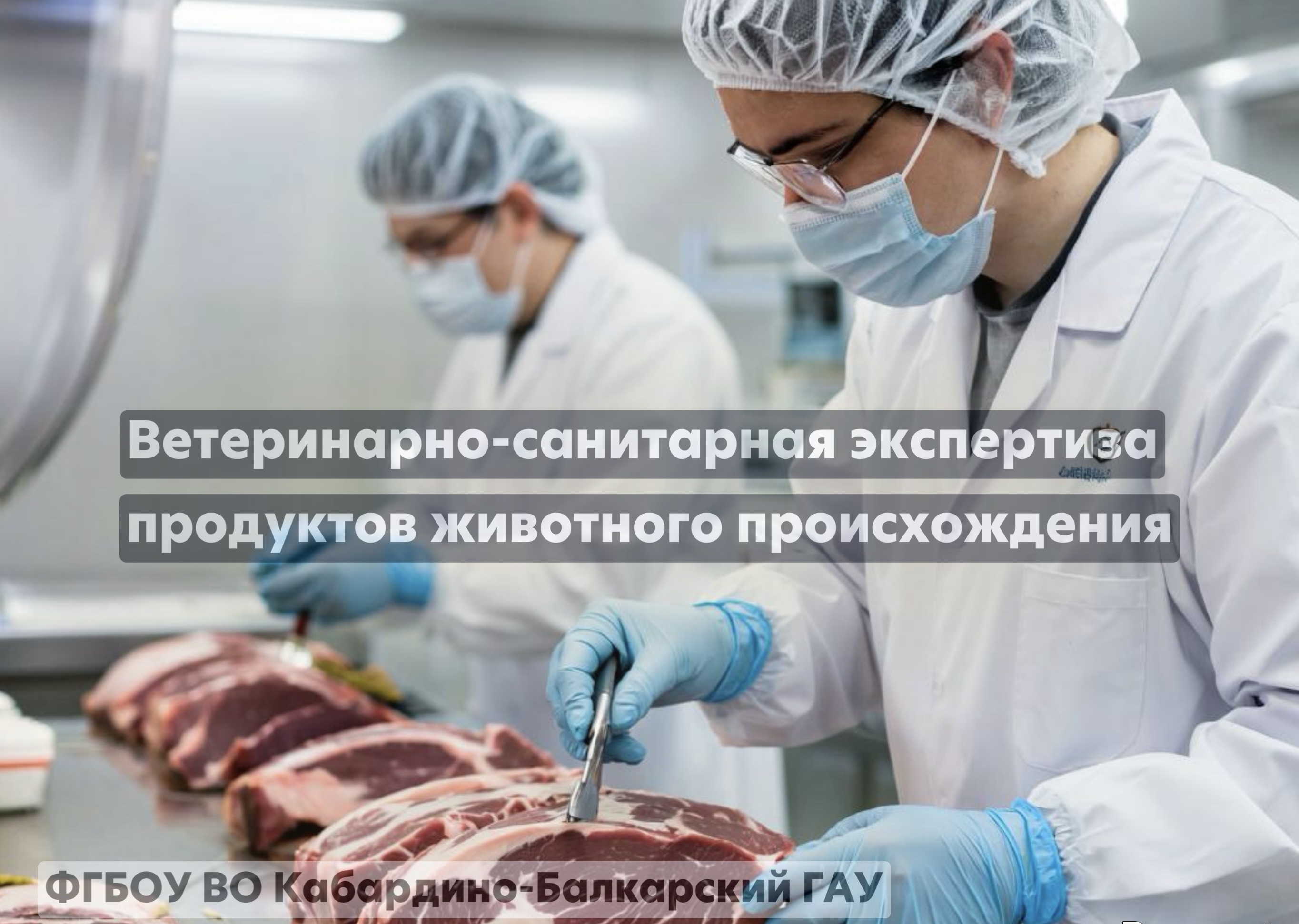 Ветеринарно-санитарная экспертиза продуктов животного происхождения