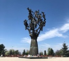 Пусть никогда не умирают дети…