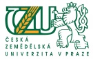 Вниманию старшекурсников!