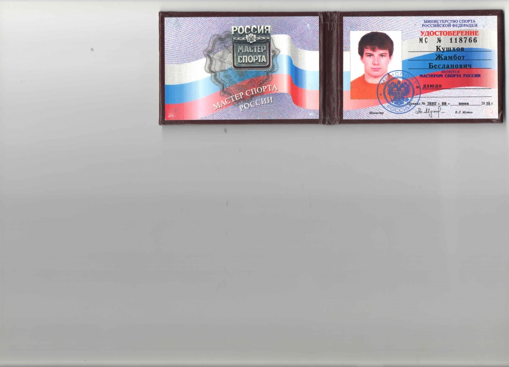 Кмс по mma. Что надо чтобы получить кмс. Русскийтжим нормативы. Что надо чтобы получить кмс. Что надо чтобы получить кмс.