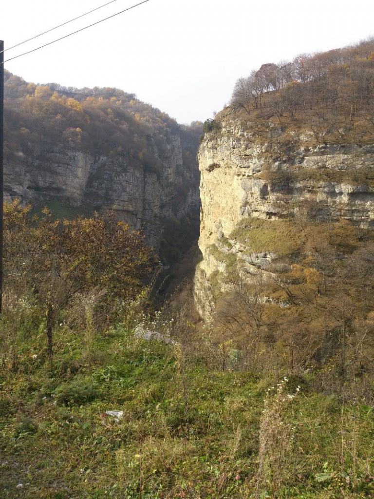 DSC_0139.jpg DSC_0139.jpg