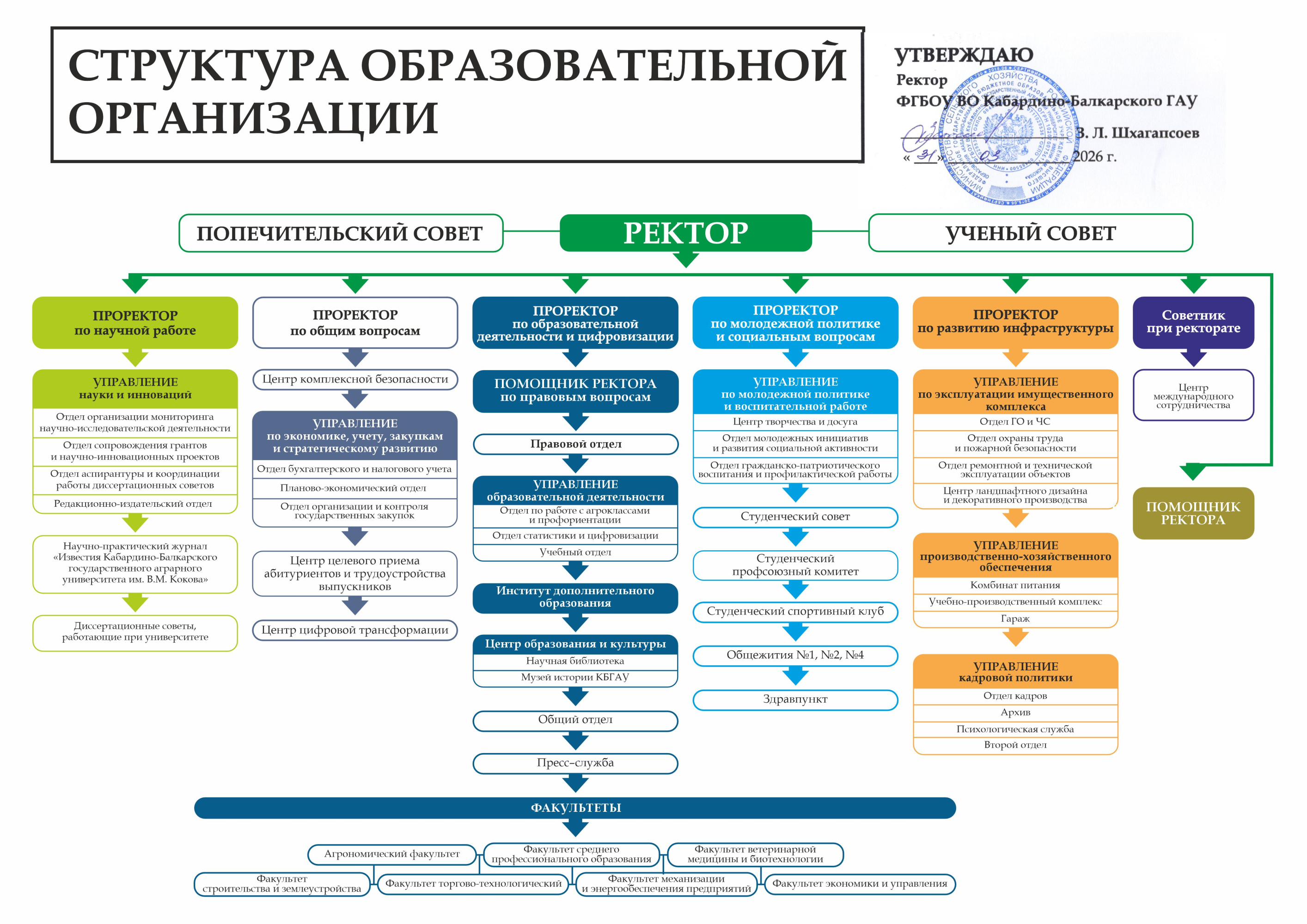 Организационная Структура ВУЗа