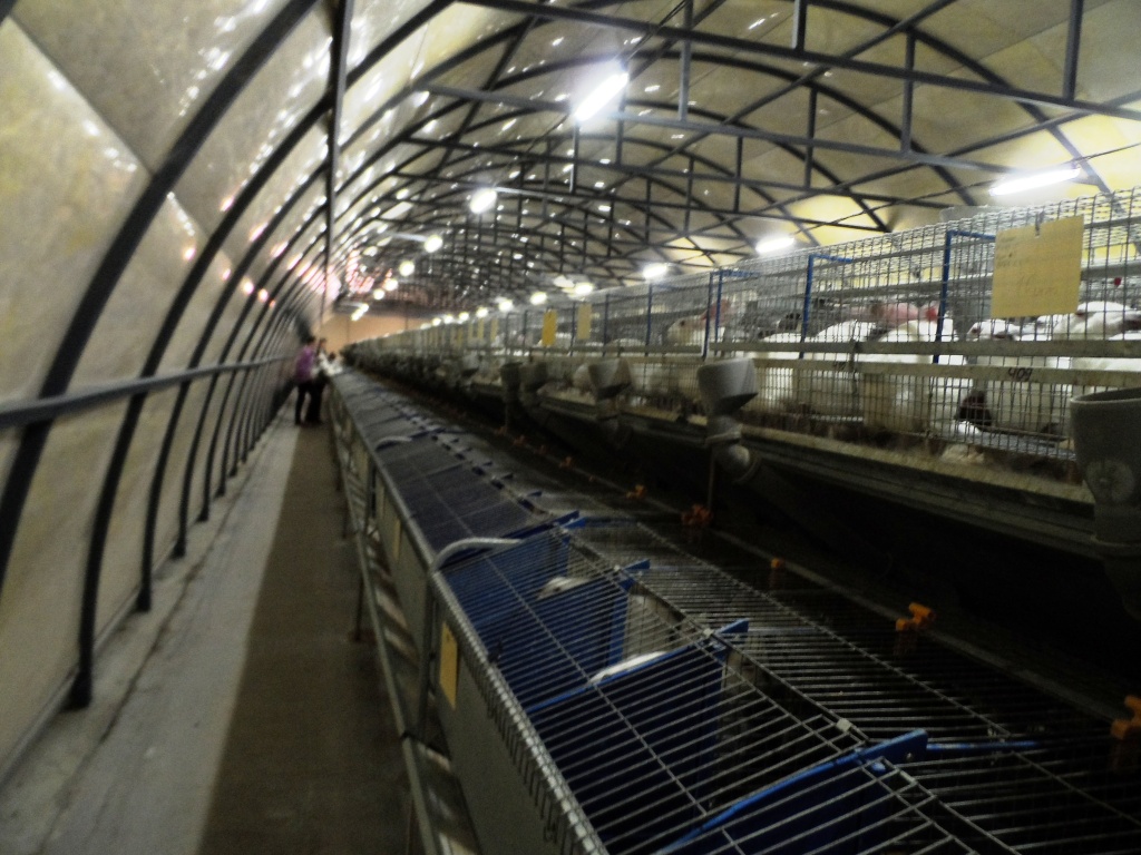 49141b6a.JPG 49141b6a.JPG