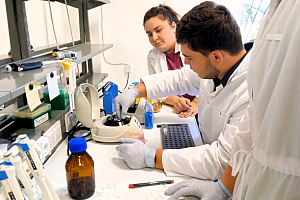 Вузом реализуется научно-технический проект по внедрению в производство отечественных сортов кукурузы