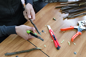 Будущие садоводы сдали экзамен по окулировке