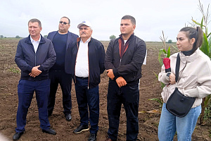 Вузом реализуется научно-технический проект по внедрению в производство отечественных сортов кукурузы