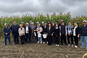 Вузом реализуется научно-технический проект по внедрению в производство отечественных сортов кукурузы