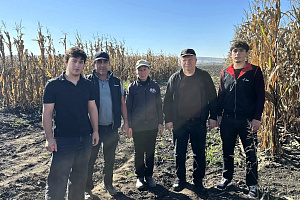 Оценка селекционно-значимых признаков гибридов кукурузы в рамках экологического сортоиспытания