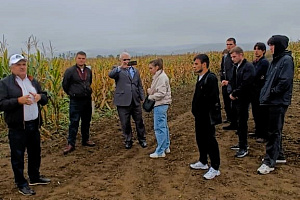 Вузом реализуется научно-технический проект по внедрению в производство отечественных сортов кукурузы