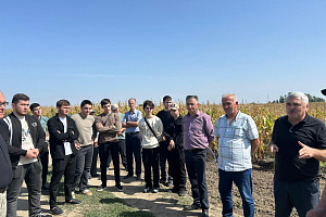 Представители агрономического факультета приняли участие в Дне поля