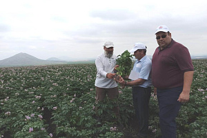 Представители агрономического факультета ознакомились с инновациями в сельском хозяйстве