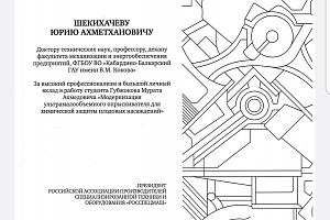 Благодарность за высокий профессионализм
