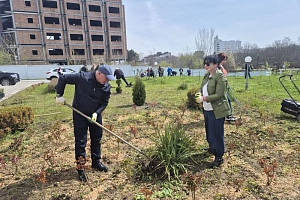 Кабардино-Балкарский ГАУ присоединился к Всероссийской неделе субботников «Мы за чистоту»