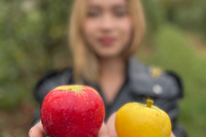 Студенты агрономического факультета посетили Северо-Кавказский НИИ горного и предгорного садоводства