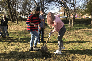 Волонтёры заложили аллею комсомола