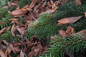 Победители фотоконкурса
