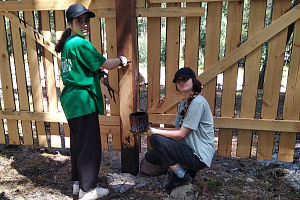 Эковолонтёры провели акцию на склонах Эльбруса