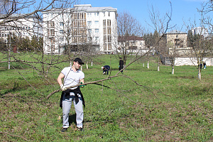 Субботник