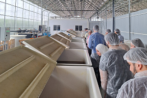 Будущие агрономы ознакомились с функционированием современной теплицы