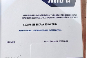 Отличились на чемпионате «Молодые профессионалы»