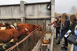 Экскурсия в СХПК «Ленинцы»