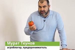 Анонс: встреча по вопросам трудоустройства