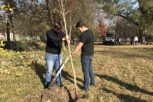 Волонтёры заложили аллею комсомола