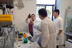 Вузом реализуется научно-технический проект по внедрению в производство отечественных сортов кукурузы