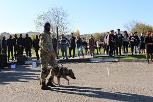 Фестиваль «Безопасный город»