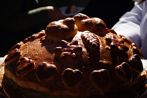 Кабардино-Балкарский ГАУ принял участие в праздновании Дня работника сельского хозяйства и перерабатывающей промышленности