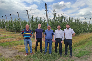 Продолжается сотрудничество вуза с компанией «Иннопрактика»