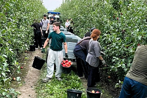 Студенты Кабардино-Балкарского ГАУ вышли на уборку урожая в рамках федерального проекта «Кадры в АПК»