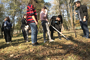 Волонтёры заложили аллею комсомола