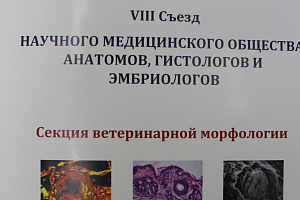 Ауес Пилов выступил на Съезде научного медицинского общества анатомов, гистологов и эмбриологов