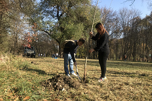 Волонтёры заложили аллею комсомола