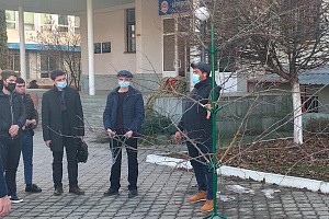 На агрономическом факультете прошел тренинг по формированию кроны деревьев в интенсивных садах