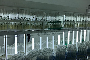 Ректор Кабардино-Балкарского ГАУ ознакомился с инновациями в картофелеводстве