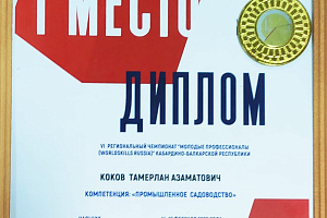 Отличились на чемпионате «Молодые профессионалы»